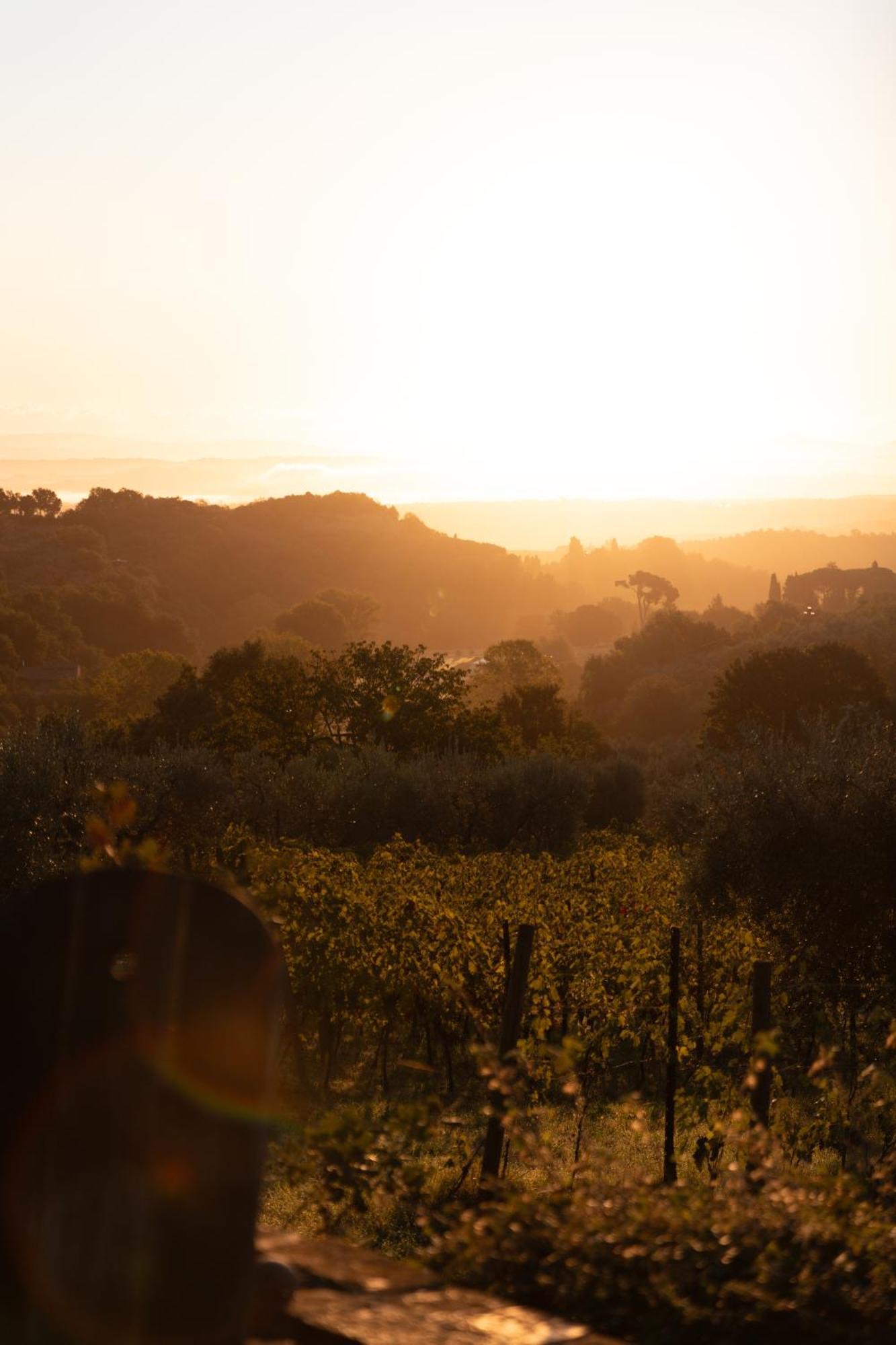 Agriturismo San Martino Montepulciano Stazione Екстериор снимка